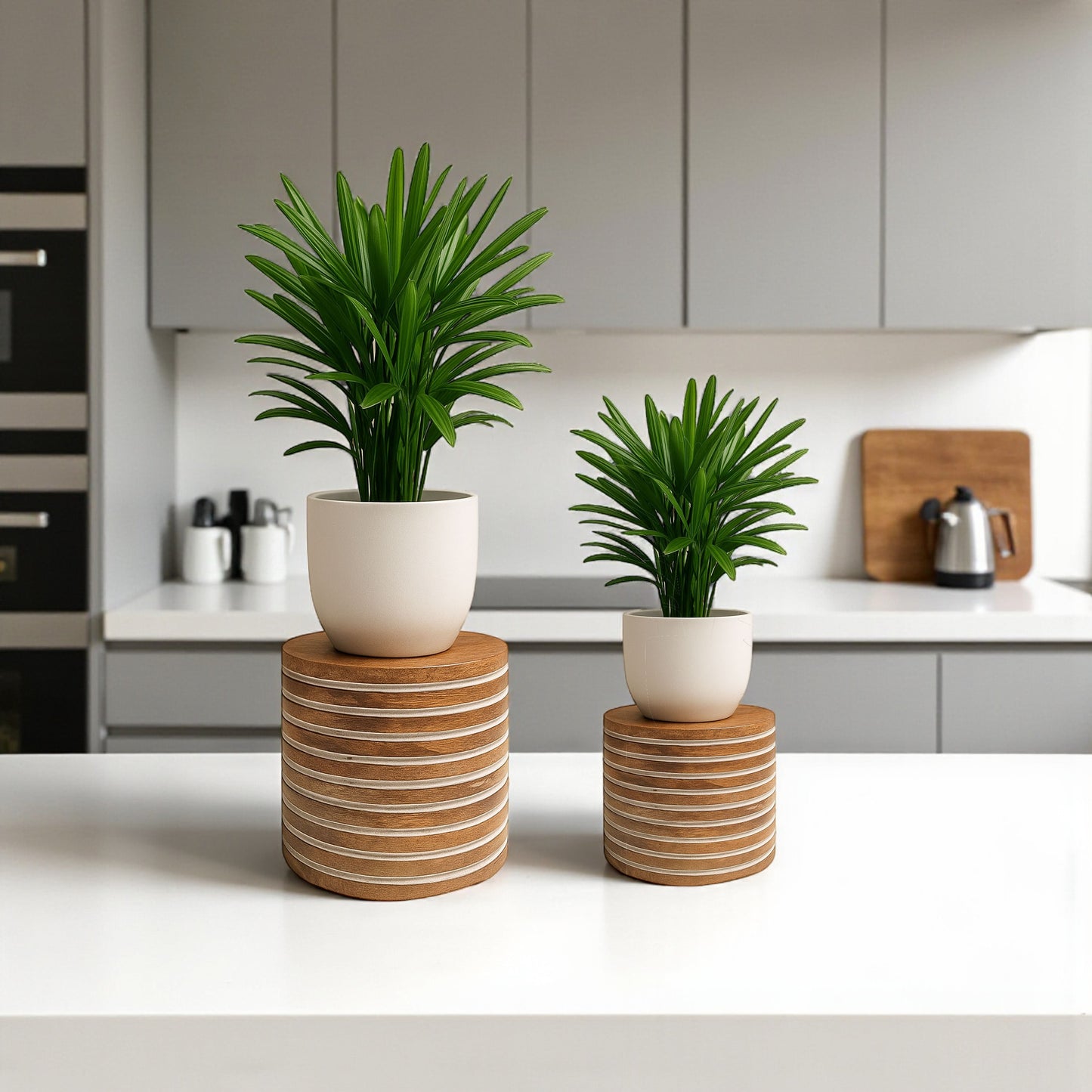 Desktop Plant Stand (Set of 2)